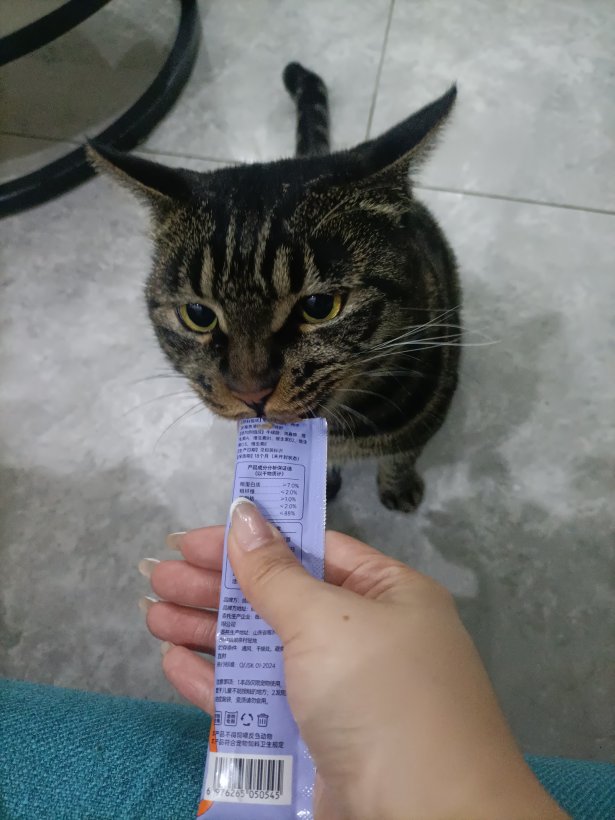 寻找爱心人士